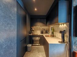 The Florence Residences (D19), Apartment #579738321